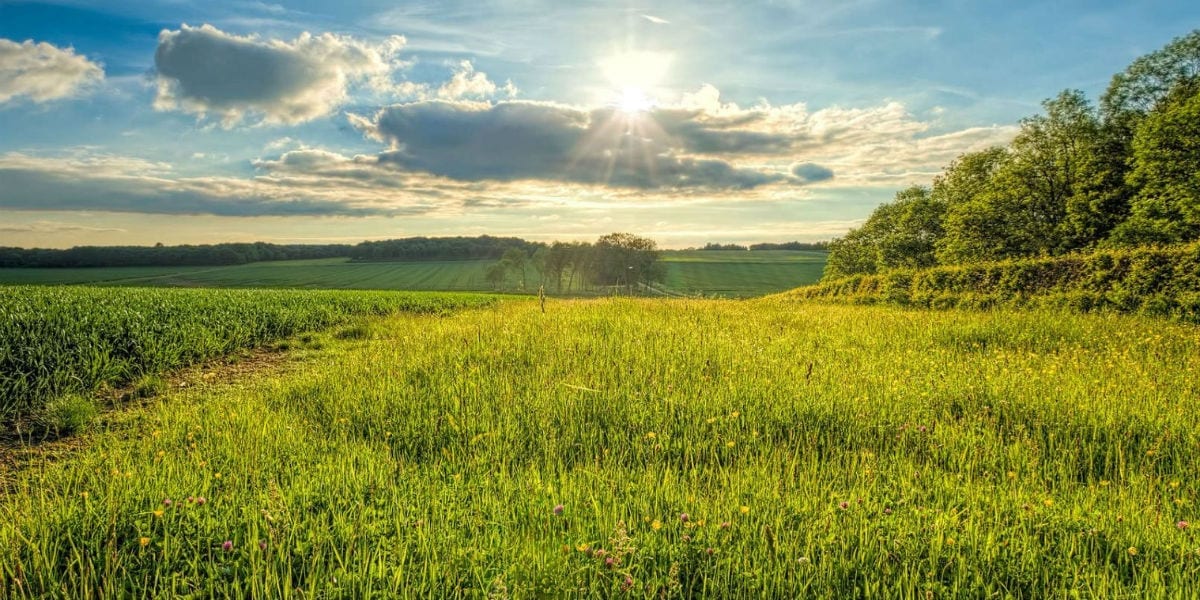 expand into private lending